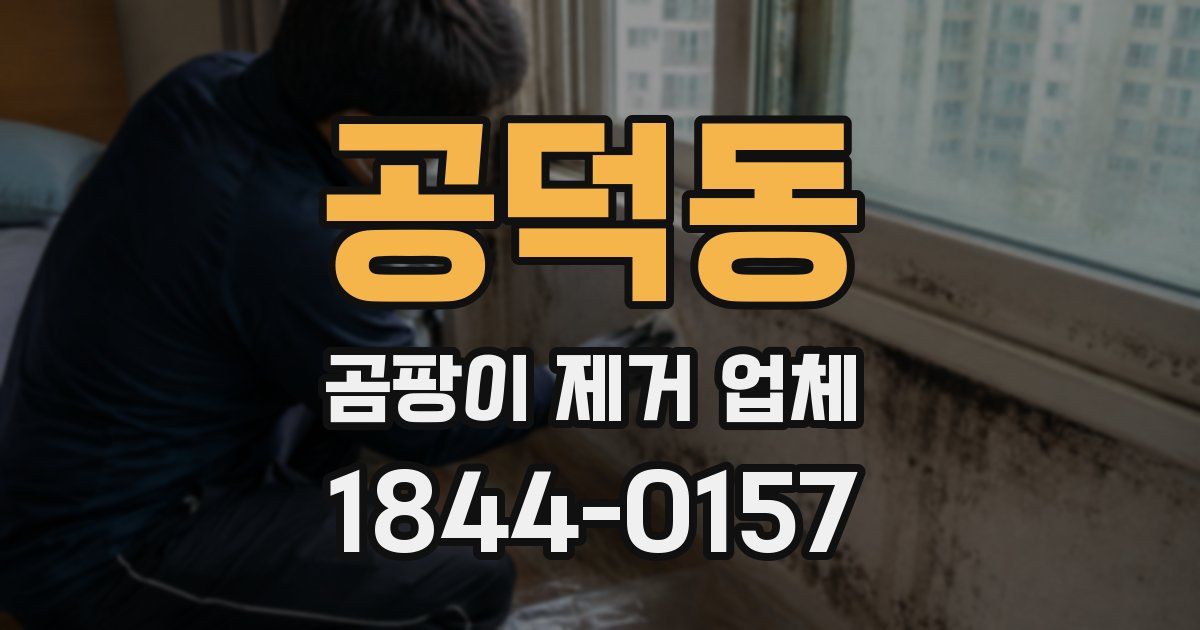 공덕동 곰팡이 제거 업체