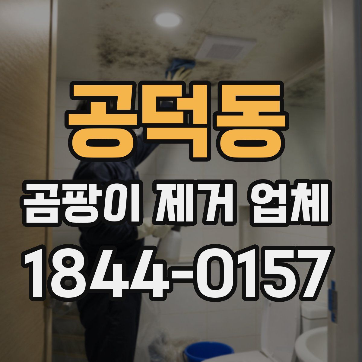 공덕동 곰팡이 제거 업체