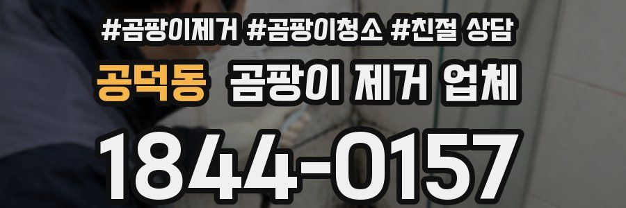 공덕동 곰팡이 제거 업체
