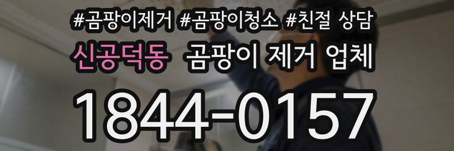 신공덕동 곰팡이 제거 업체