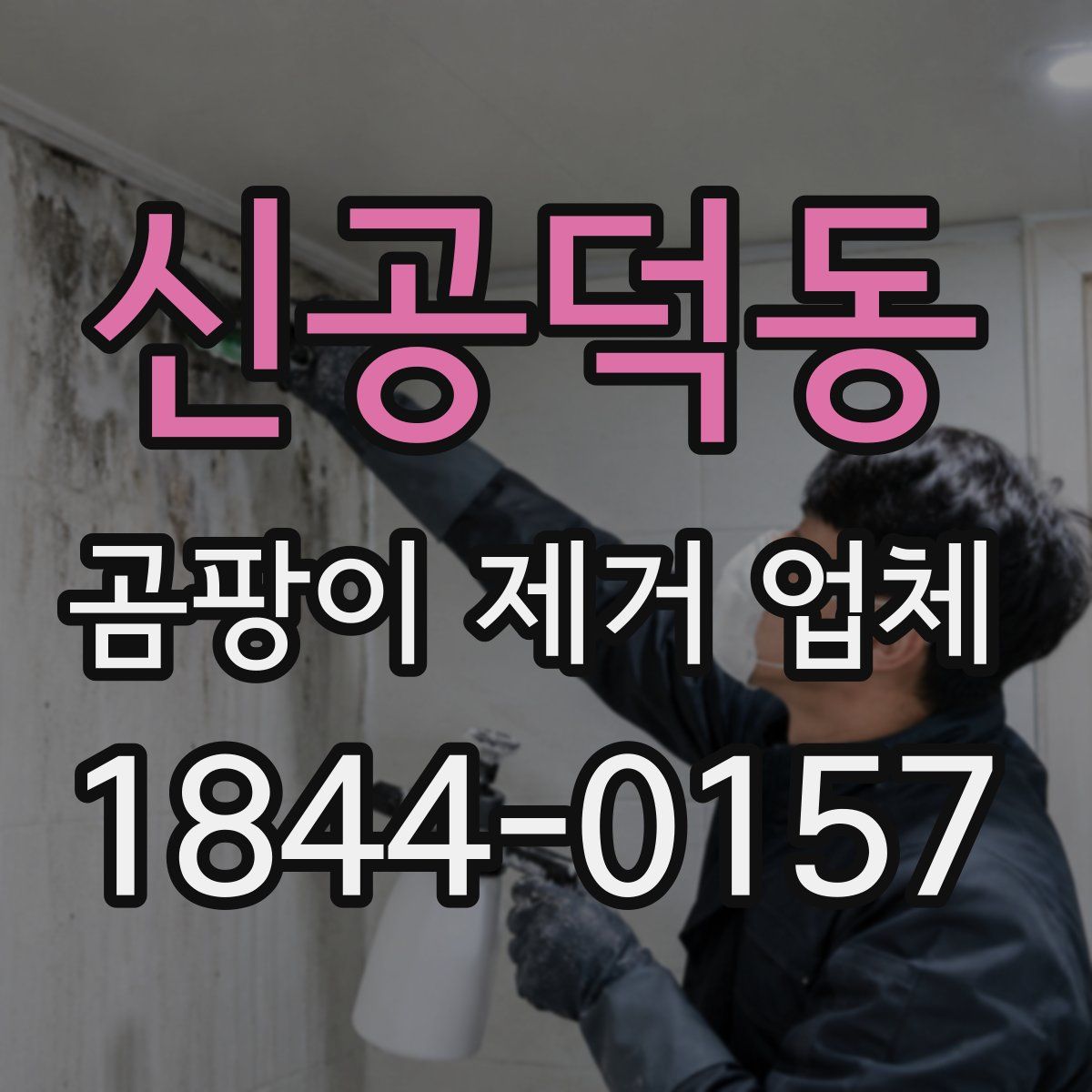 신공덕동 곰팡이 제거 업체