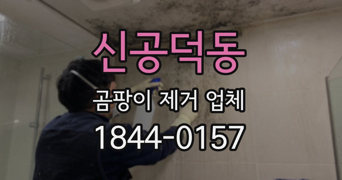 신공덕동 곰팡이 제거 업체