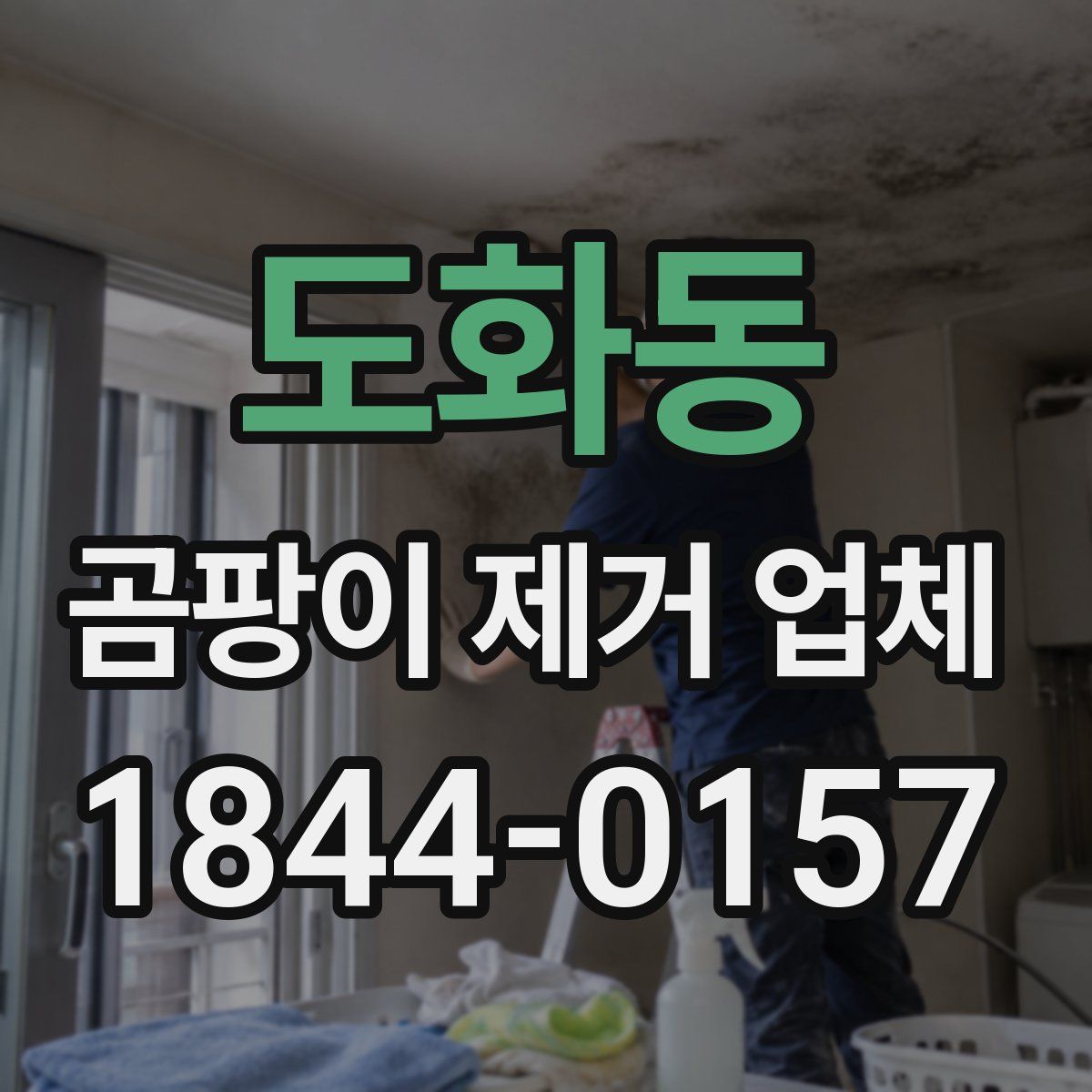 도화동 곰팡이 제거 업체