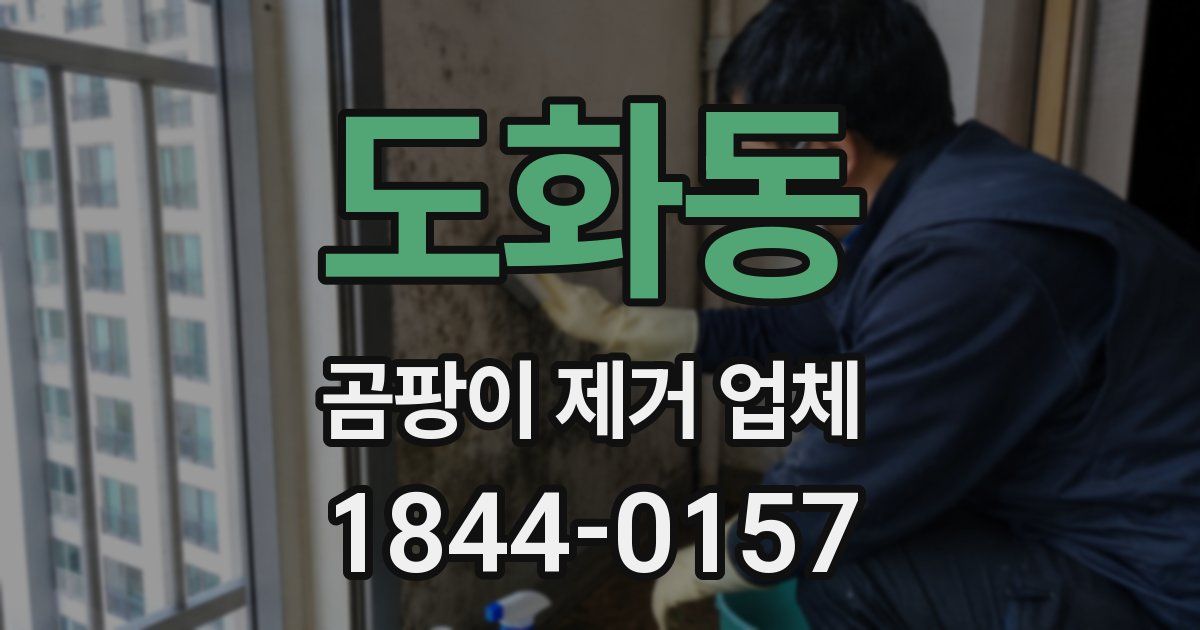 도화동 곰팡이 제거 업체