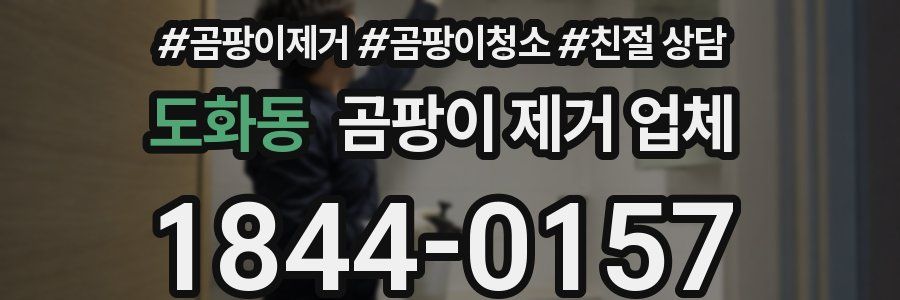 도화동 곰팡이 제거 업체