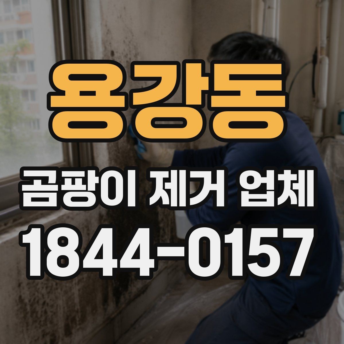 용강동 곰팡이 제거 업체 견적서에서 꼭 봐야 할 내용