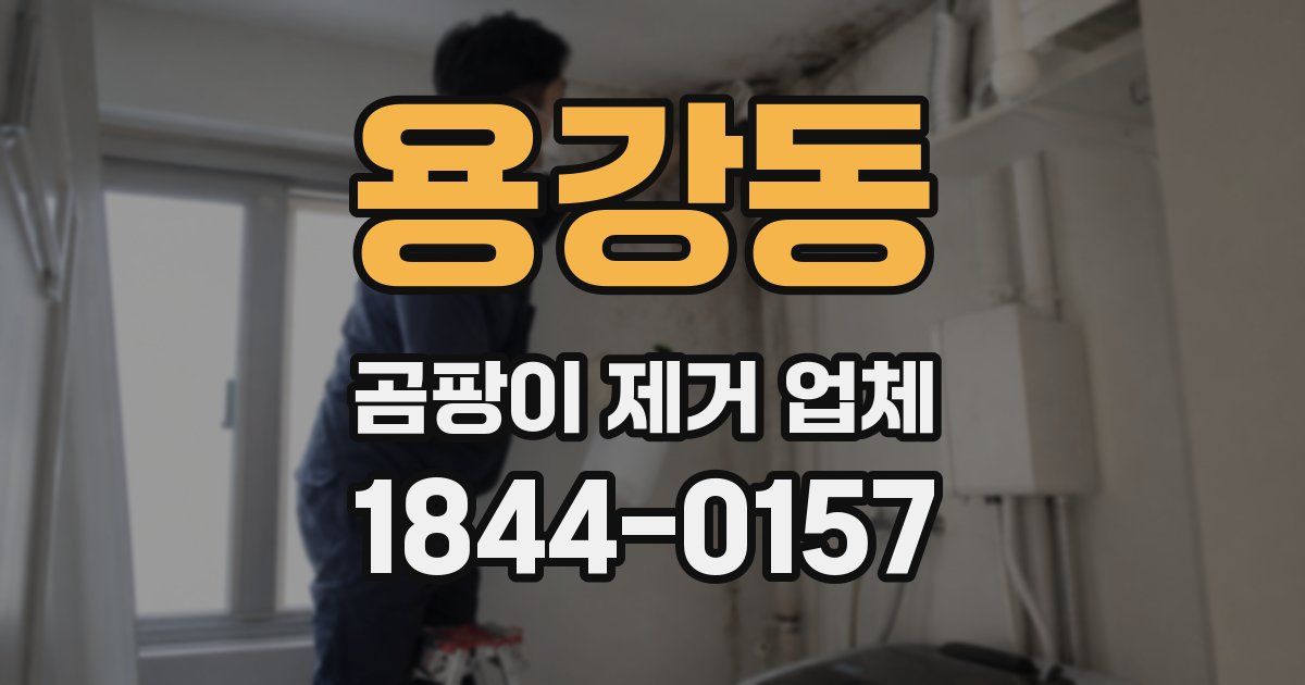 용강동 곰팡이 제거 업체
