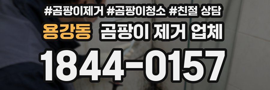용강동 곰팡이 제거 업체