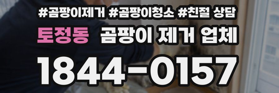 토정동 곰팡이 제거 업체
