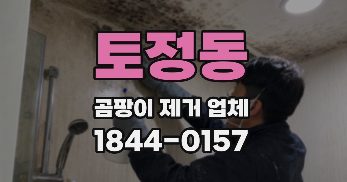 토정동 곰팡이 제거 업체