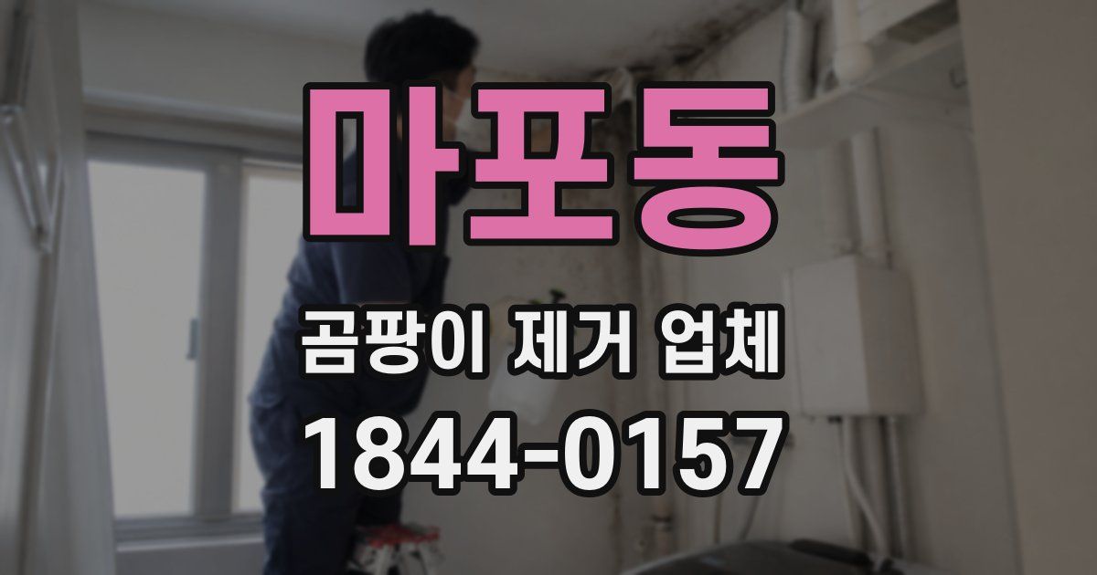 마포동 곰팡이 제거 업체