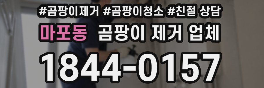 마포동 곰팡이 제거 업체