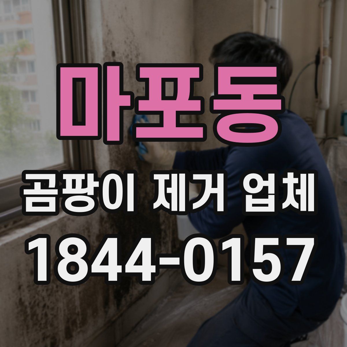 마포동 곰팡이 제거 업체