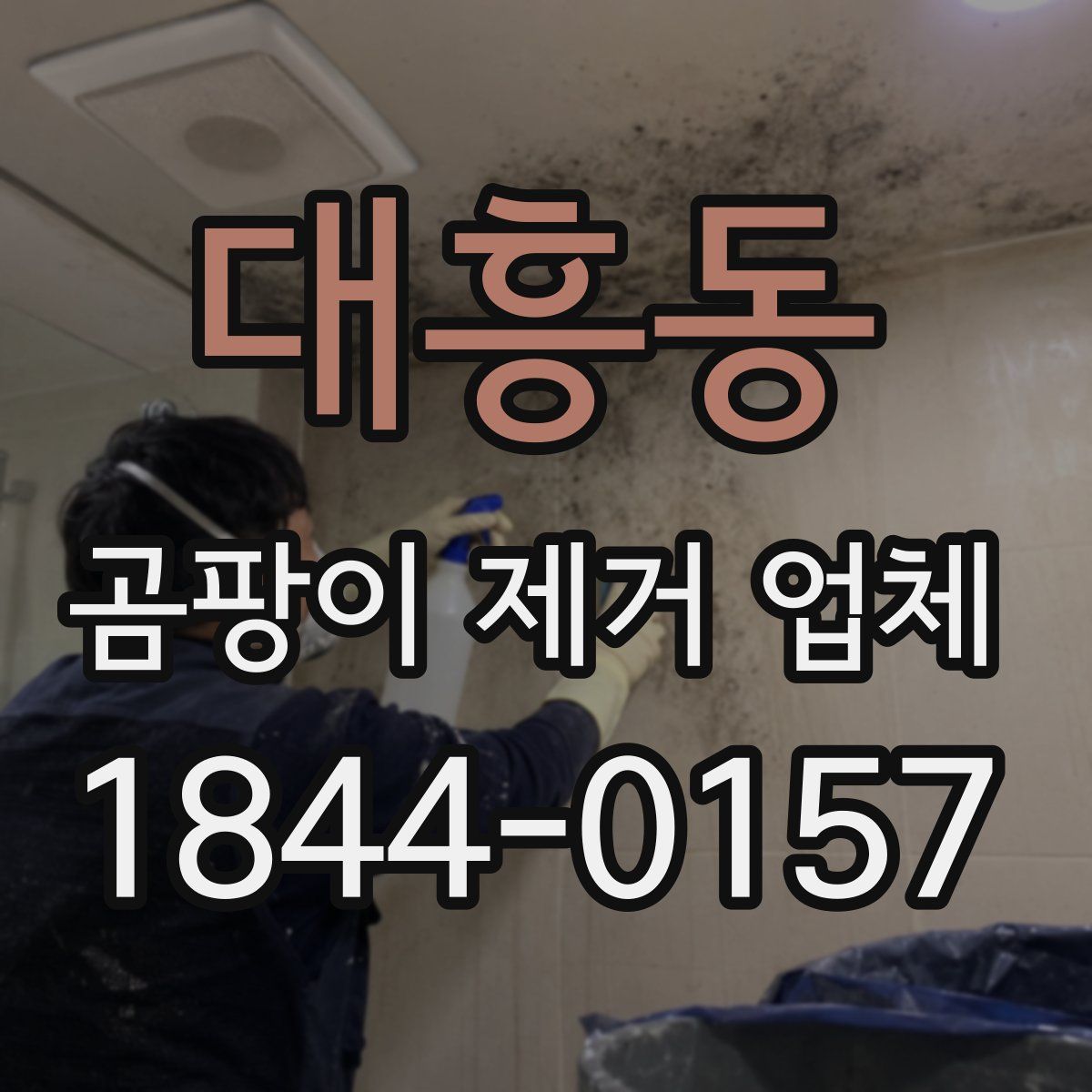 대흥동 곰팡이 제거 업체