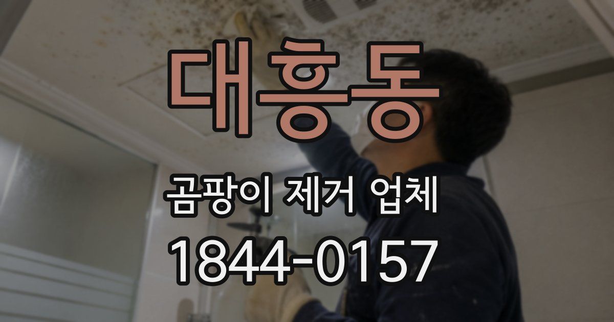 대흥동 곰팡이 제거 업체