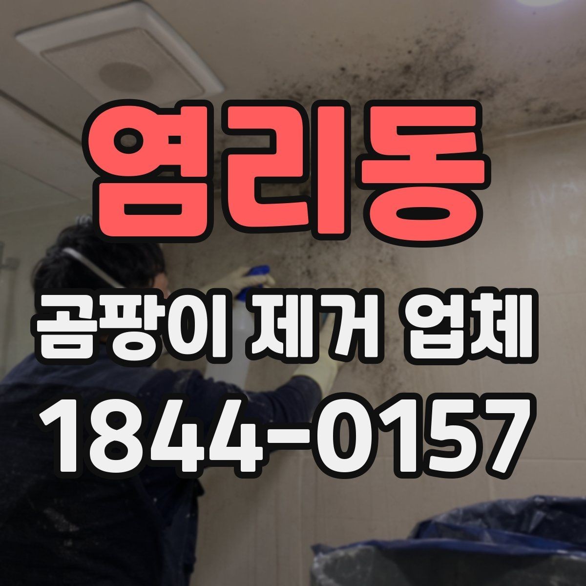 염리동 곰팡이 제거 업체 상담에서 자주 나오는 오해