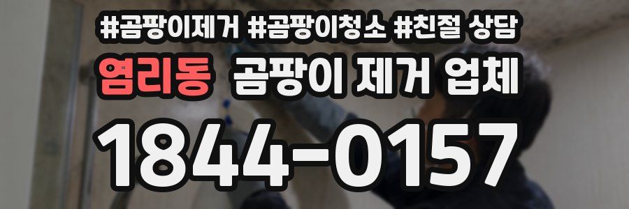 염리동 곰팡이 제거 업체