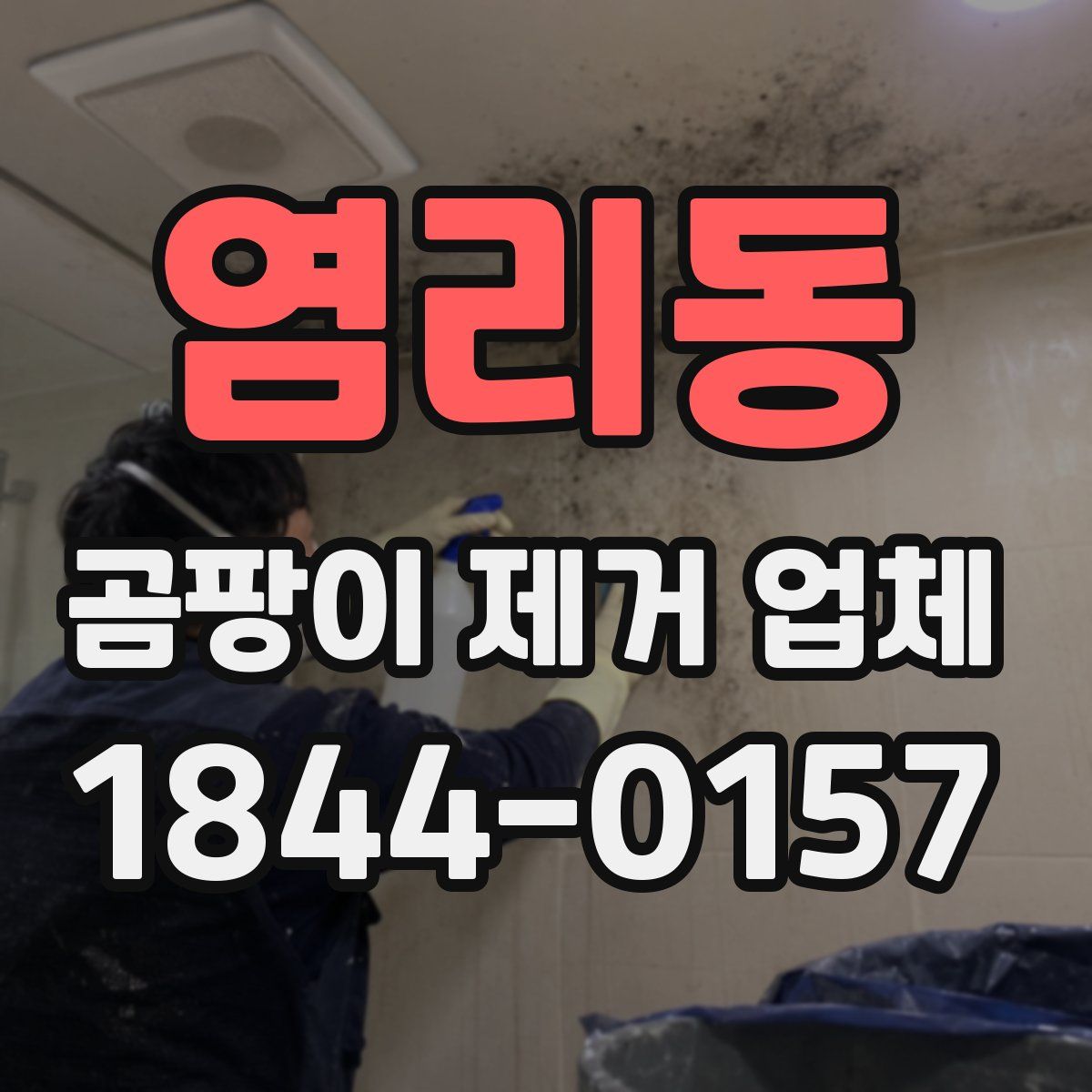 염리동 곰팡이 제거 업체