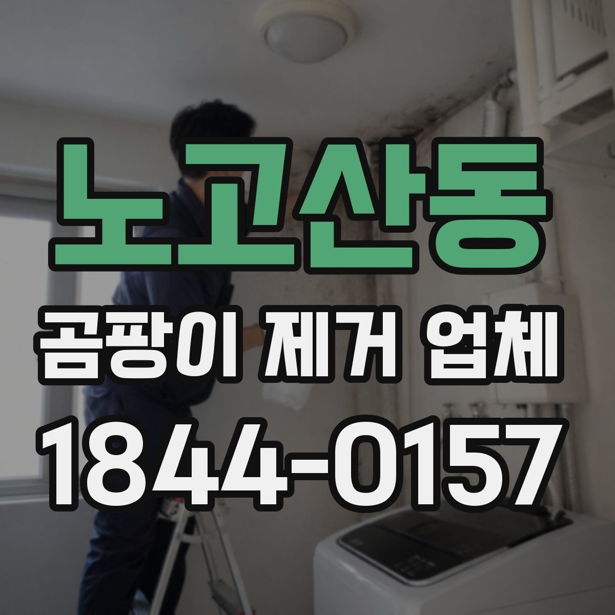 노고산동 곰팡이 제거 업체