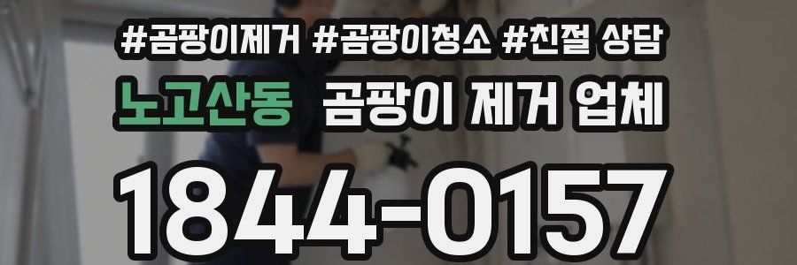 노고산동 곰팡이 제거 업체