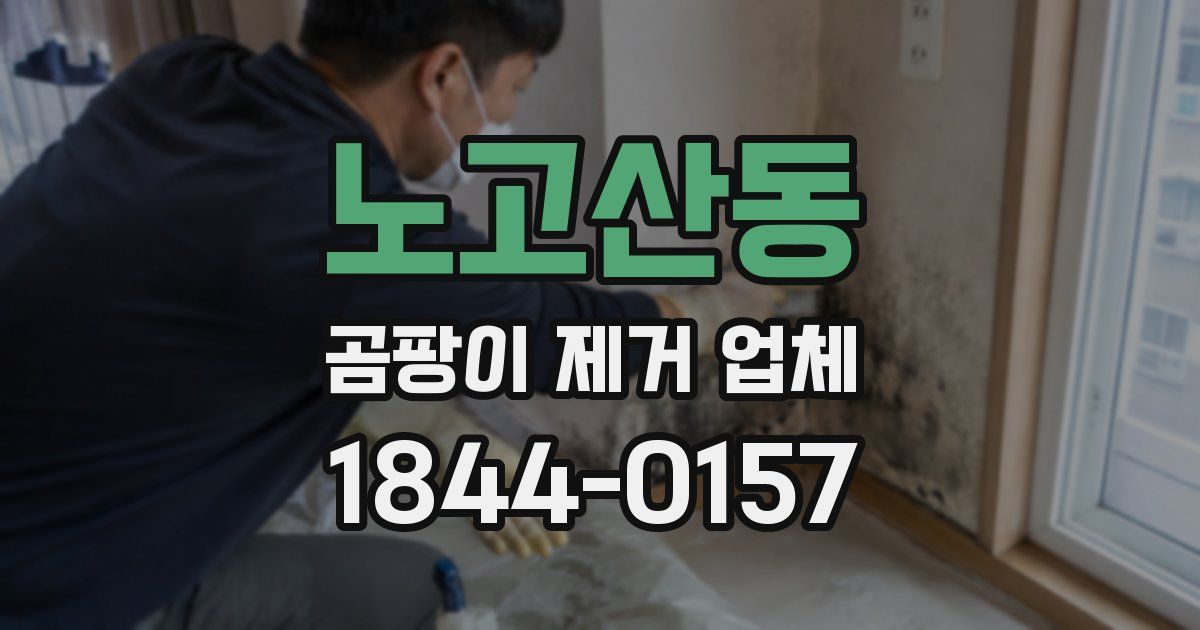 노고산동 곰팡이 제거 업체