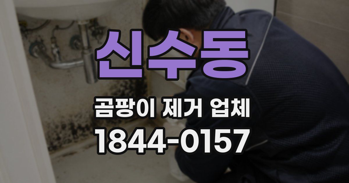 신수동 곰팡이 제거 업체