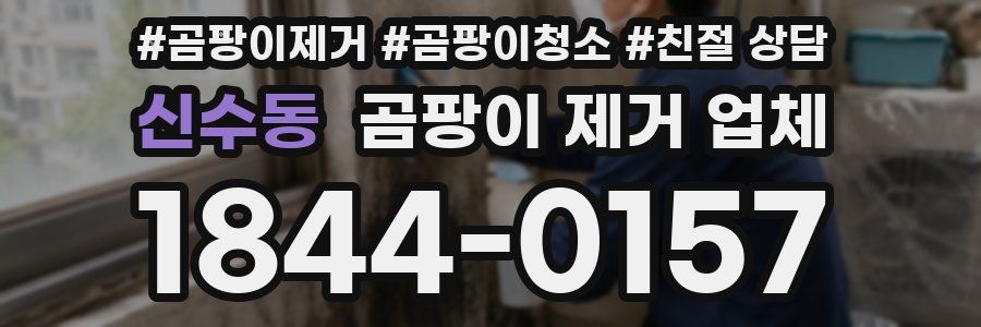 신수동 곰팡이 제거 업체