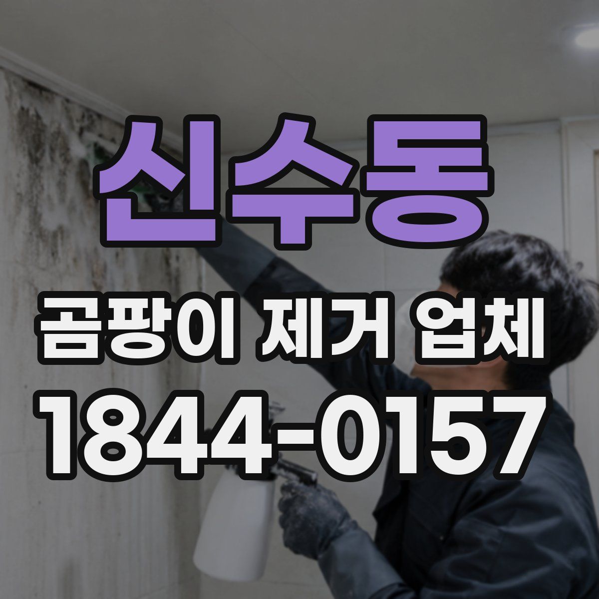 신수동 곰팡이 제거 업체