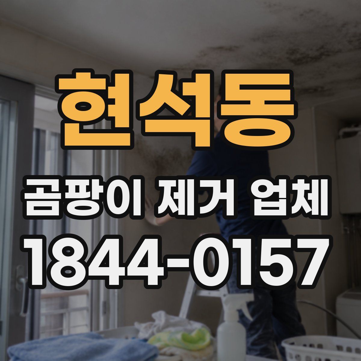 현석동 곰팡이 제거 업체