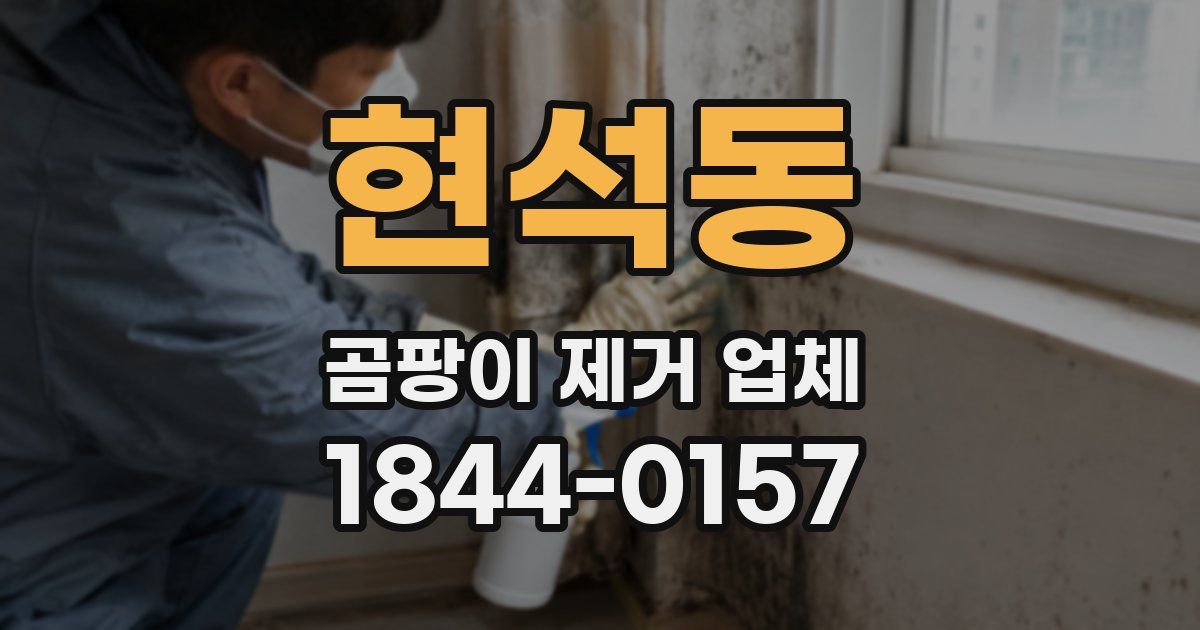 현석동 곰팡이 제거 업체