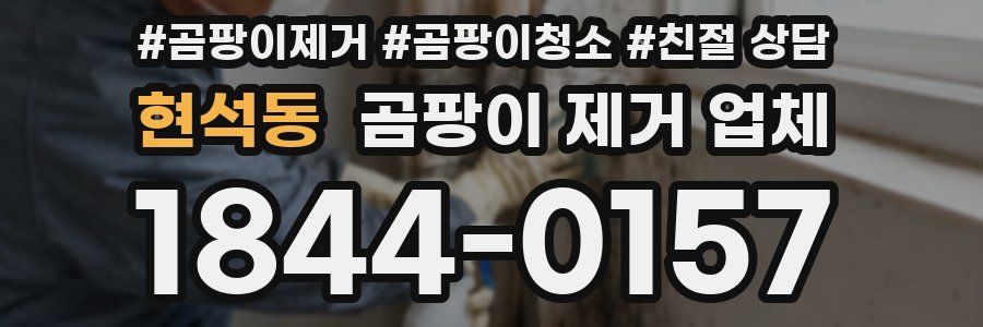 현석동 곰팡이 제거 업체