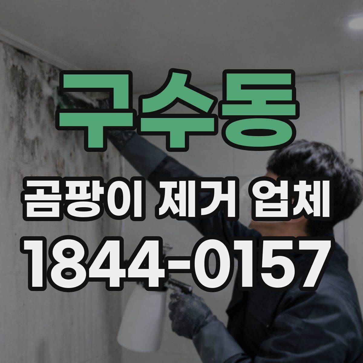 구수동 곰팡이 제거 업체