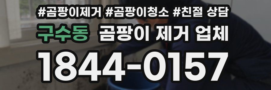 구수동 곰팡이 제거 업체