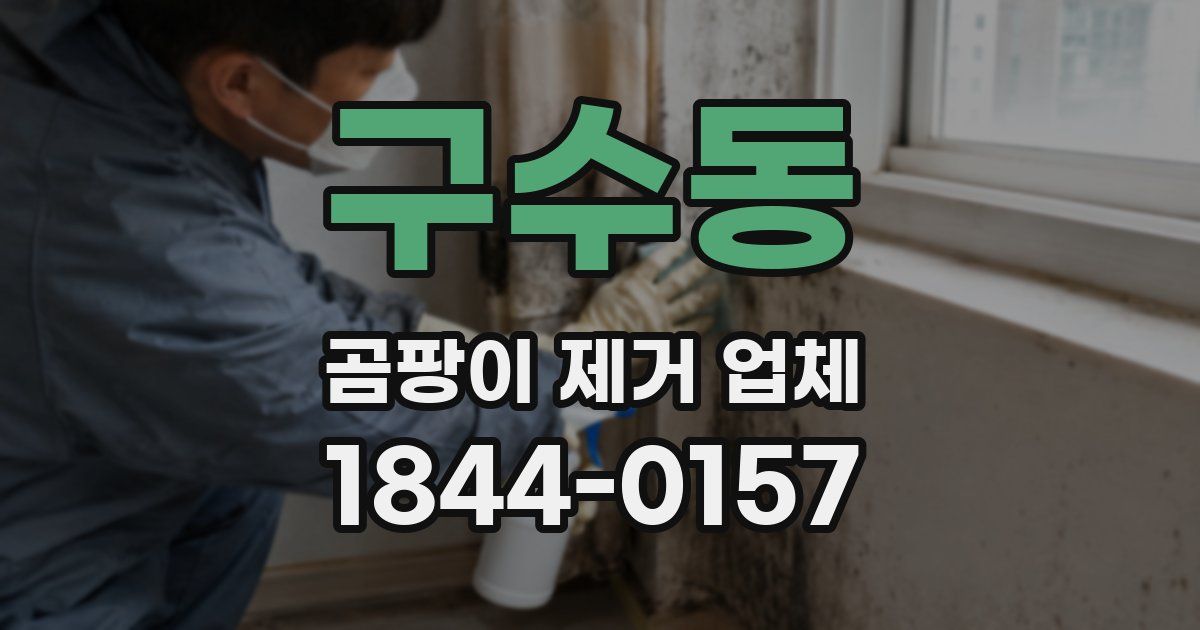 구수동 곰팡이 제거 업체