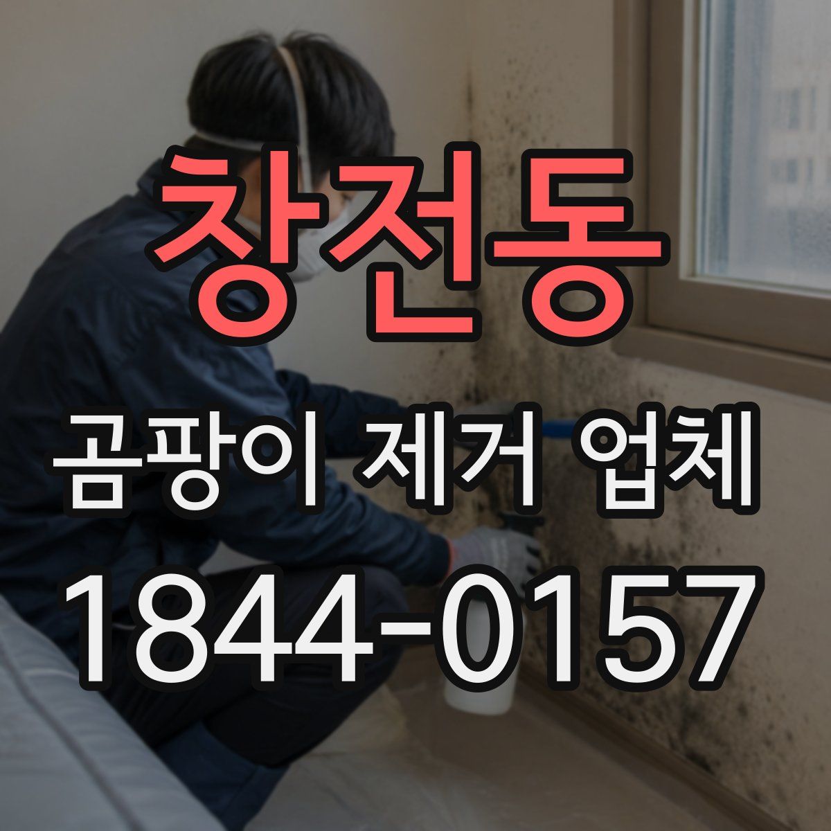 창전동 곰팡이 제거 업체