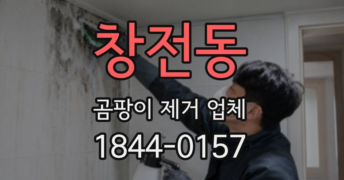 창전동 곰팡이 제거 업체