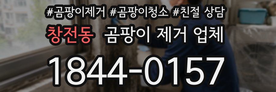 창전동 곰팡이 제거 업체