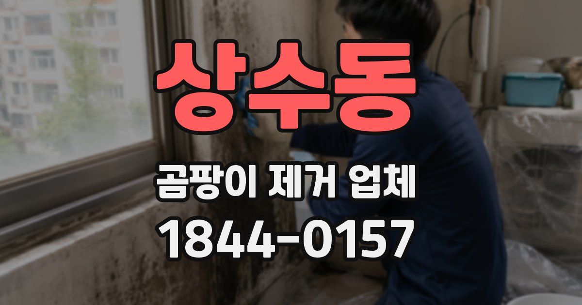 상수동 곰팡이 제거 업체