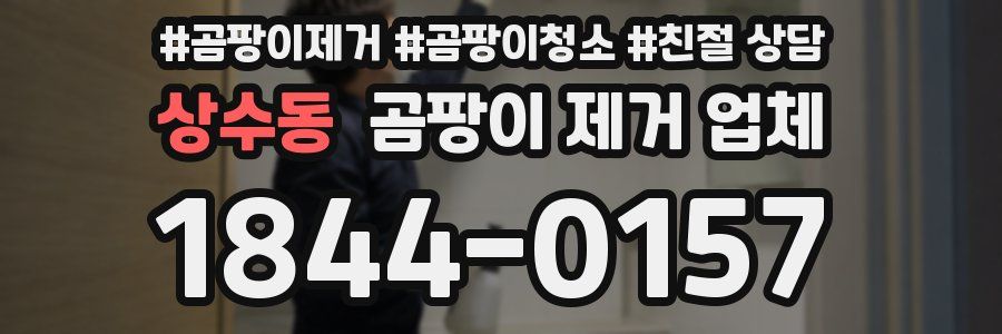 상수동 곰팡이 제거 업체