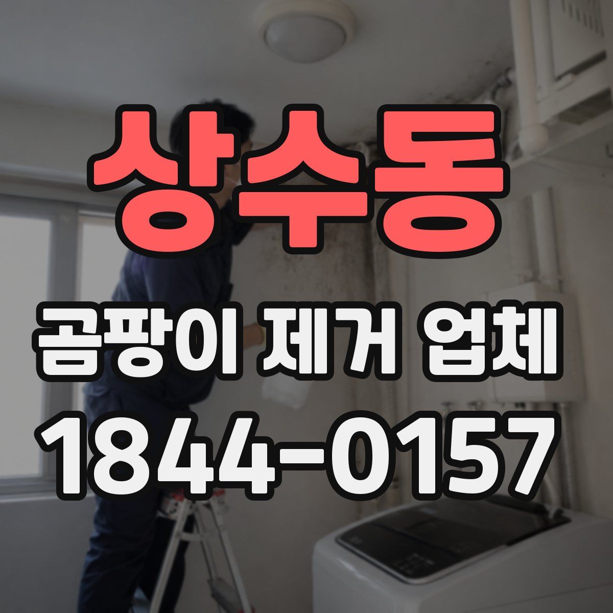 상수동 곰팡이 제거 업체