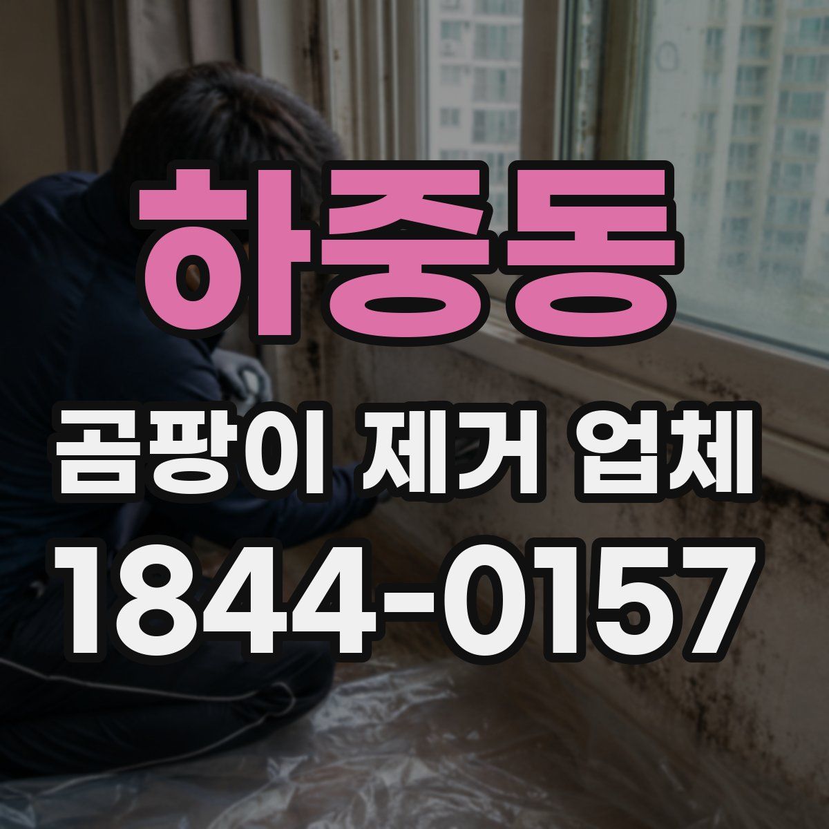 하중동 곰팡이 제거 업체