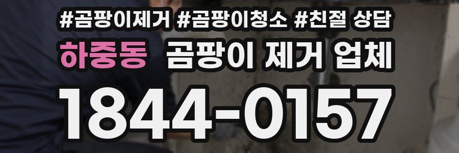 하중동 곰팡이 제거 업체