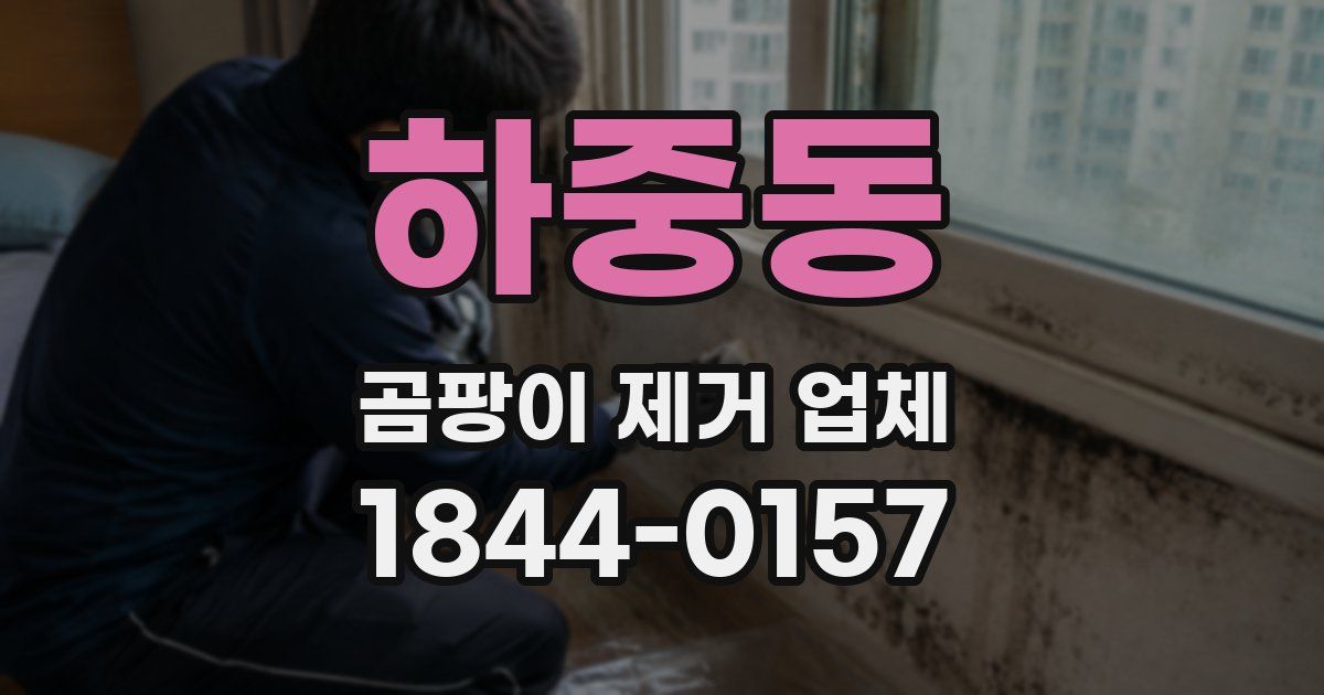 하중동 곰팡이 제거 업체