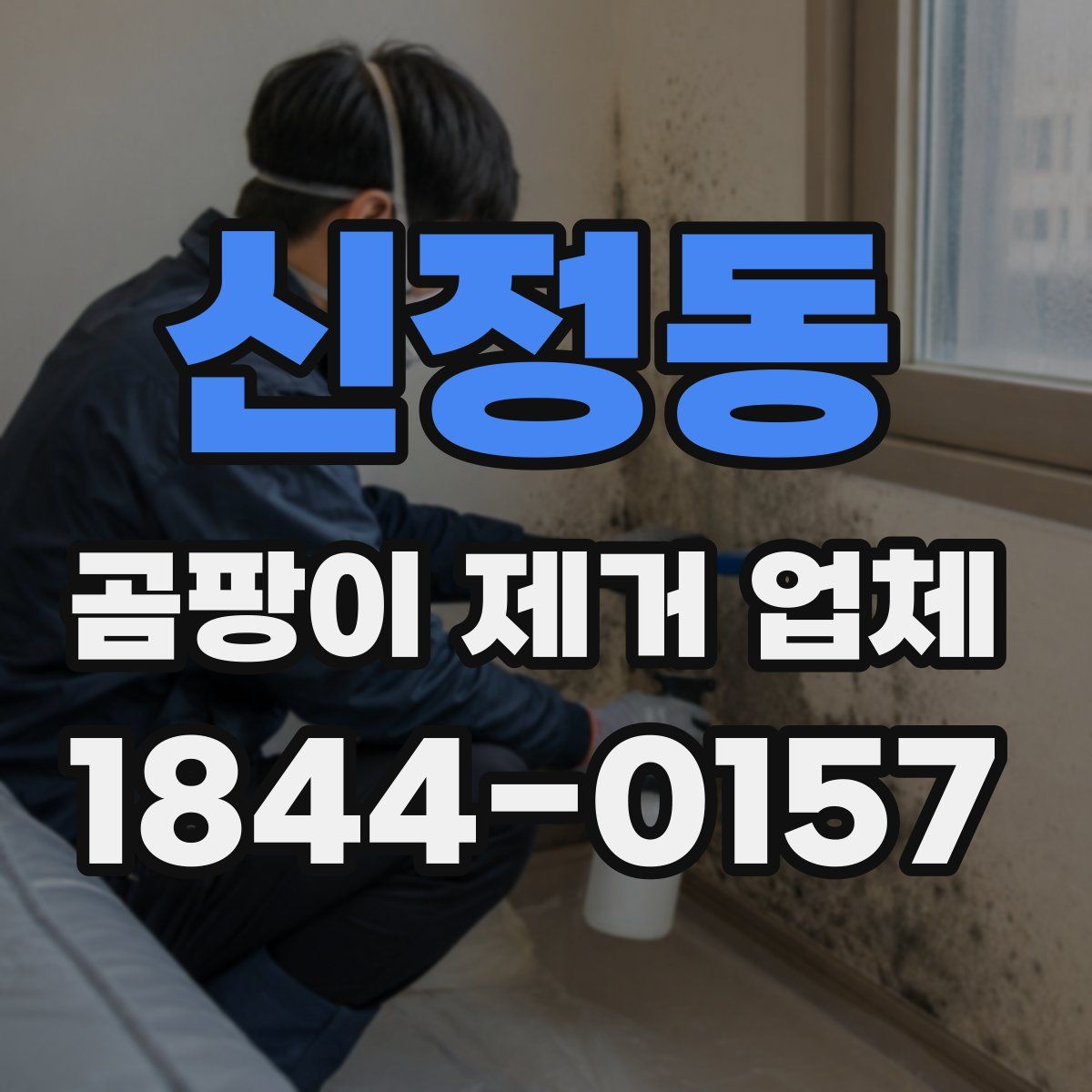 신정동 곰팡이 제거 업체