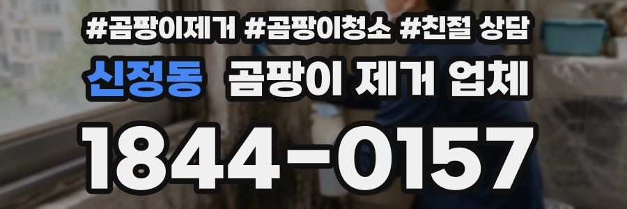 신정동 곰팡이 제거 업체