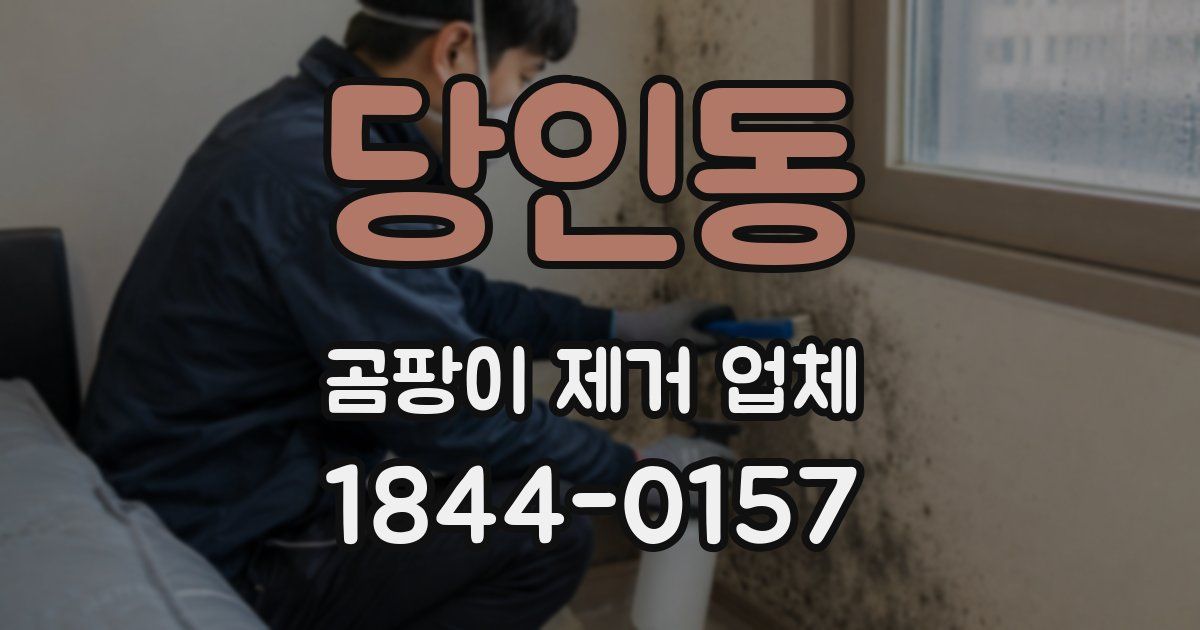 당인동 곰팡이 제거 업체