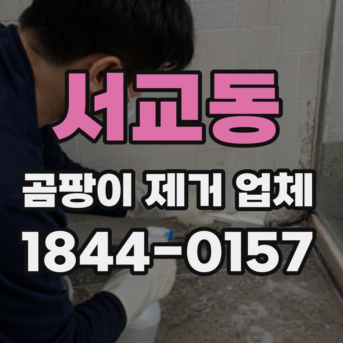 서교동 곰팡이 제거 업체 견적을 받을 때 비교해야 할 항목