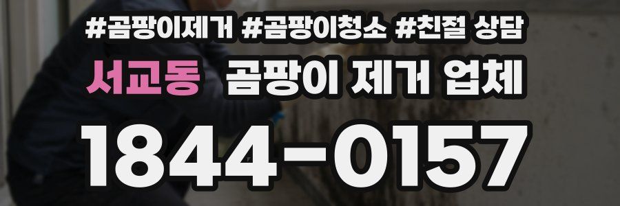 서교동 곰팡이 제거 업체