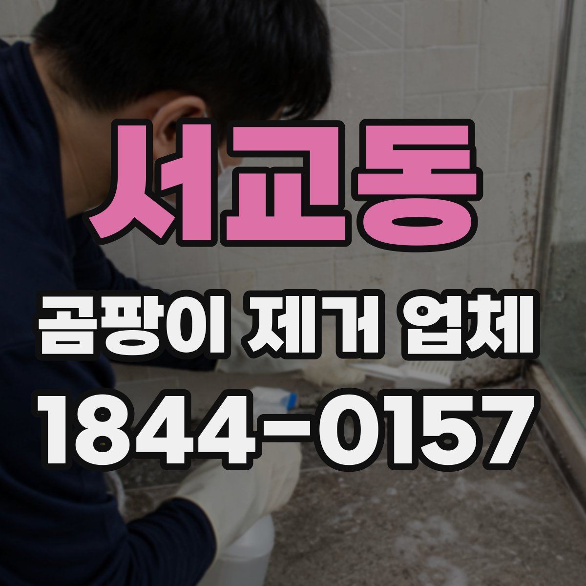 서교동 곰팡이 제거 업체