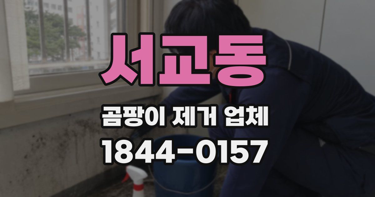 서교동 곰팡이 제거 업체